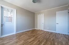 Renovated two bedroom, Jameson and Queen - ID 615 - Photo 8