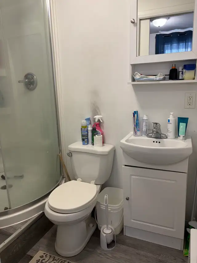 Beau 2 1/2, chemin St-Louis, Juillet - Photo 7