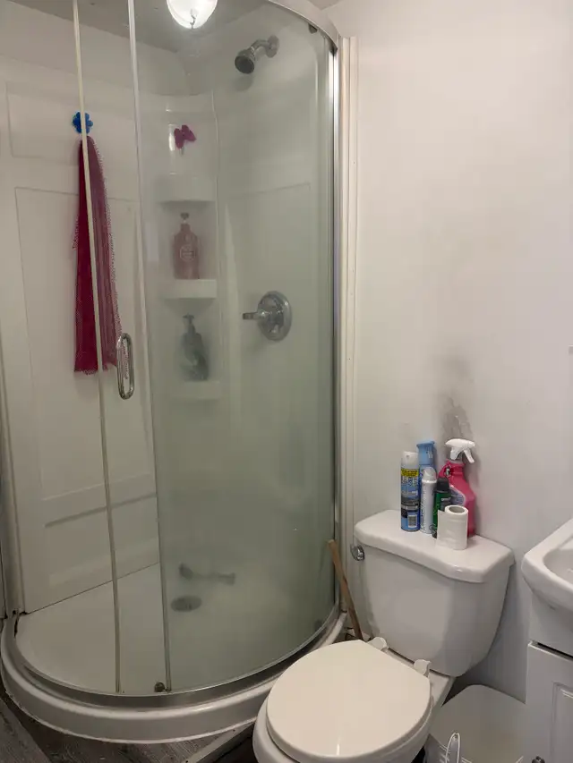 Beau 2 1/2, chemin St-Louis, Juillet - Photo 10