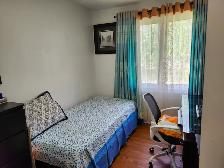 3 BEDROOM HOUSE FOR RENT - Photo 7