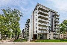 À LOUER   Gym   Club House   2 chambres JUILLET - Photo 5