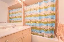 1 Large, bright upstairs bedroom- 3 min walk to UOIT in North Os - Photo 6