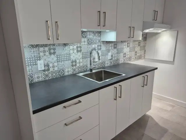 Beau et ensoleillé 3 1/2 entièrement rénové en 2025 - Photo 2