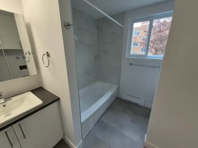 Beau et ensoleillé 3 1/2 entièrement rénové en 2025 - Photo 3