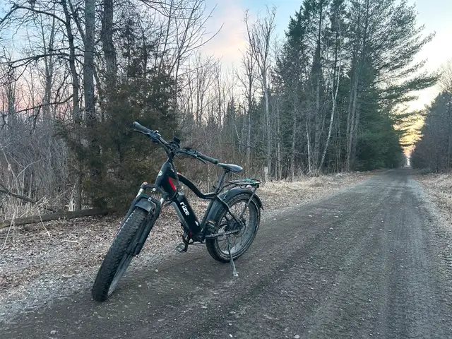 Rize X e-bike for sale