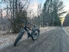 Rize X e-bike for sale