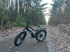 Rize X e-bike for sale - Photo 2