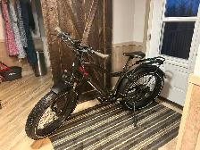 Rize X e-bike for sale - Photo 3
