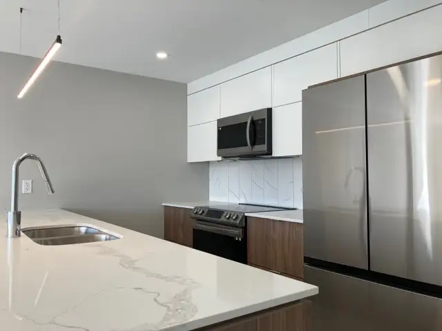 2 bedroom/2 bathroom/den, Shiraz Gardens 50  Community - Photo 5