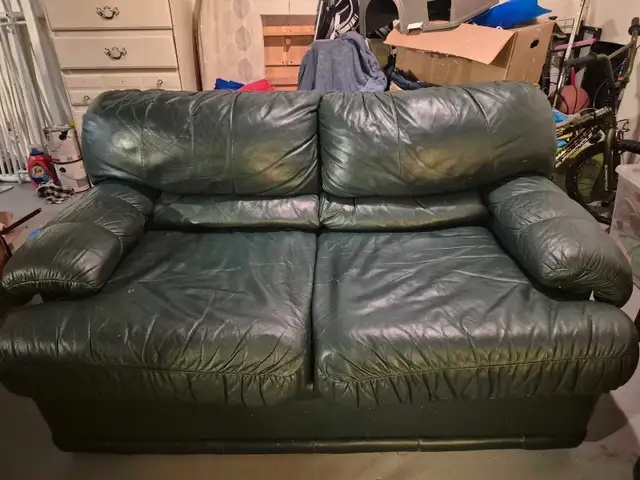 Leather couches