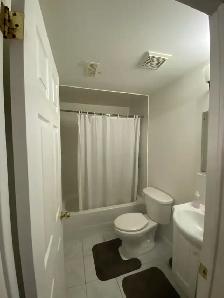 Room for Rent - York University Village - Photo 2