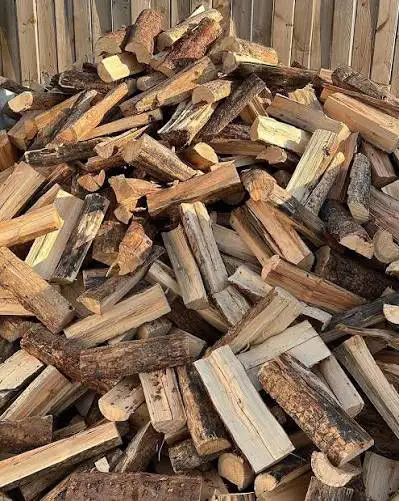 FREE FIREWOOD NEED GONE