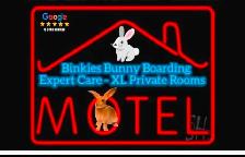 Rabbit Boarding & Training . XXL Private Rooms. 24/7 Love  Care