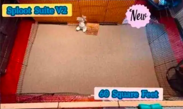 Rabbit Boarding & Training . XXL Private Rooms. 24/7 Love  Care - Photo 2