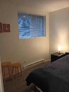 Ahuntsic A Louer Grand 31/2 Domaine St Sulpice - Photo 6