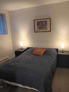 Ahuntsic A Louer Grand 31/2 Domaine St Sulpice - Photo 7