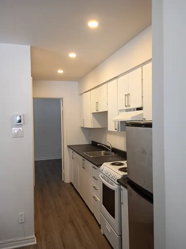 Ahuntsic A Louer Grand 31/2 Domaine St Sulpice - Photo 11