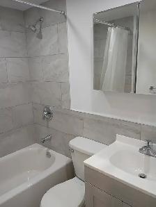 Ahuntsic A Louer Grand 31/2 Domaine St Sulpice - Photo 12