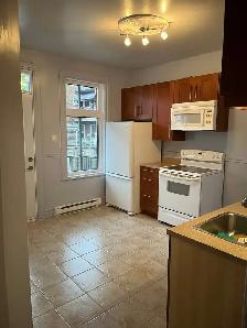 Grand 4 1/2 semi-meublé, entièrement rénové, 1,764$/mois