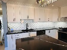 Home and basement renovation - Photo 2