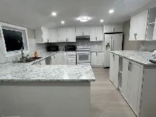 Home and basement renovation - Photo 4