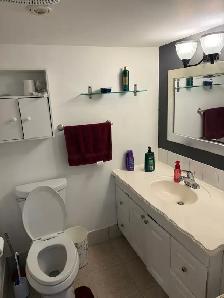 One bedroom Basement apartment for rent - Photo 10