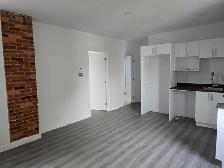 avril GRATUIT -5 1/2 appartement à louer au Plateau Montreal