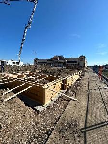 Looking for labourers or apprentice carpenters