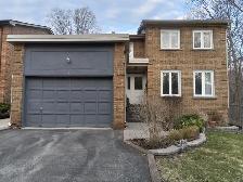 Beautiful Room in GTA Available May 1