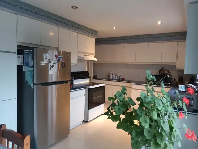 Beautiful Room in GTA Available May 1 - Photo 4