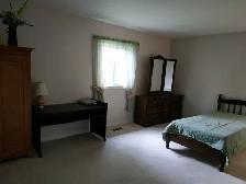 Beautiful Room in GTA Available May 1 - Photo 5