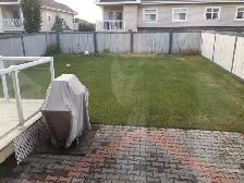 3-Bedroom   Bonus Room Home in Summerside for rent - Photo 9