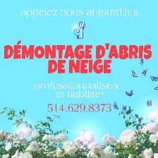 Désinstallation Démontage Abris d’auto/Snow Tempo Removal