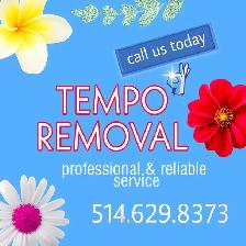 Désinstallation Démontage Abris d’auto/Snow Tempo Removal - Photo 2