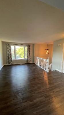 Rooms available for rent (May 1st)