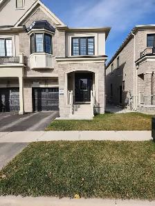 Bright Legal 2 Bed Basement | Separate Entr | Parking | Milton - Photo 10