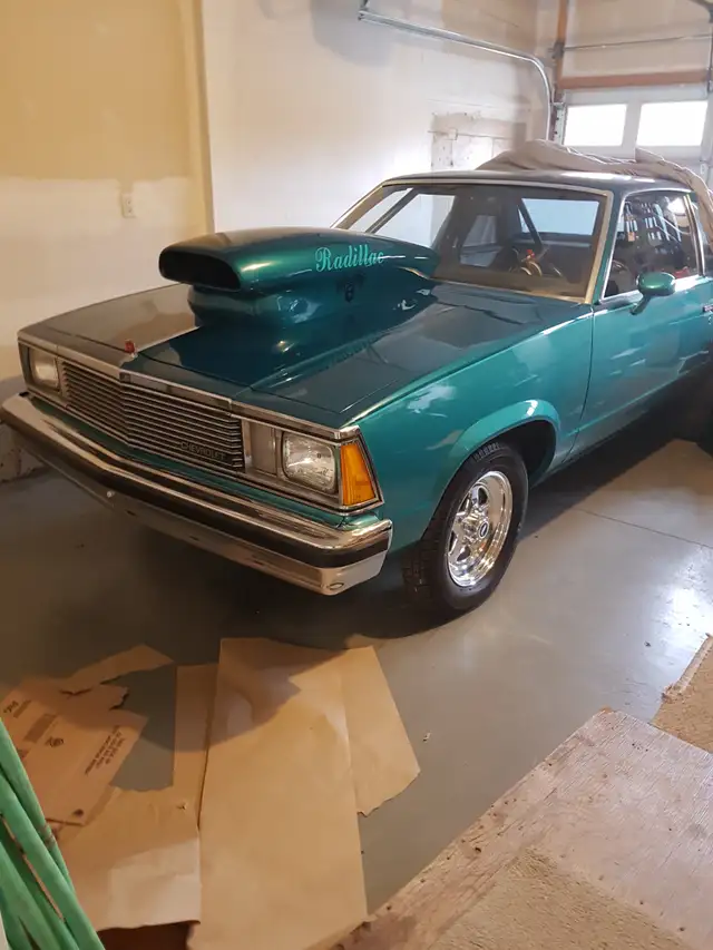 1981 Chevrolet Malibu - Photo 8