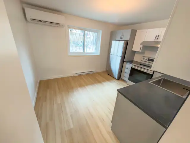 Grand 5 ½ rénové Centre sud, parc Lafontaine, métro Papineau - Photo 2