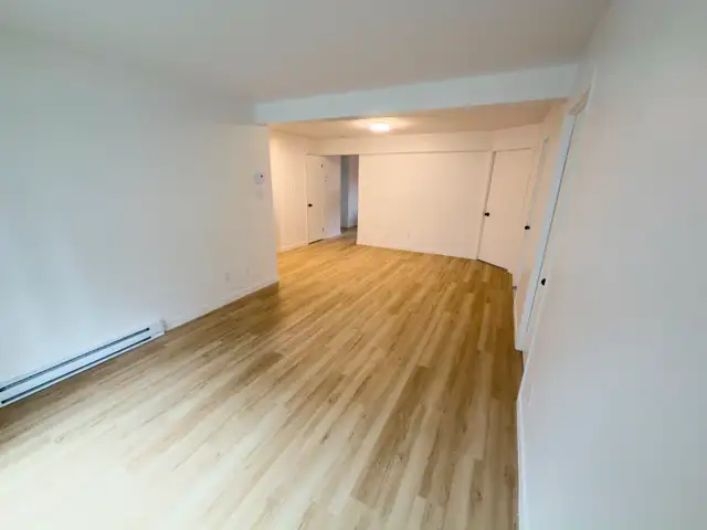 Grand 5 ½ rénové Centre sud, parc Lafontaine, métro Papineau - Photo 4