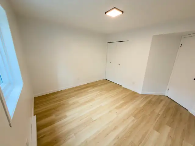 Grand 5 ½ rénové Centre sud, parc Lafontaine, métro Papineau - Photo 8