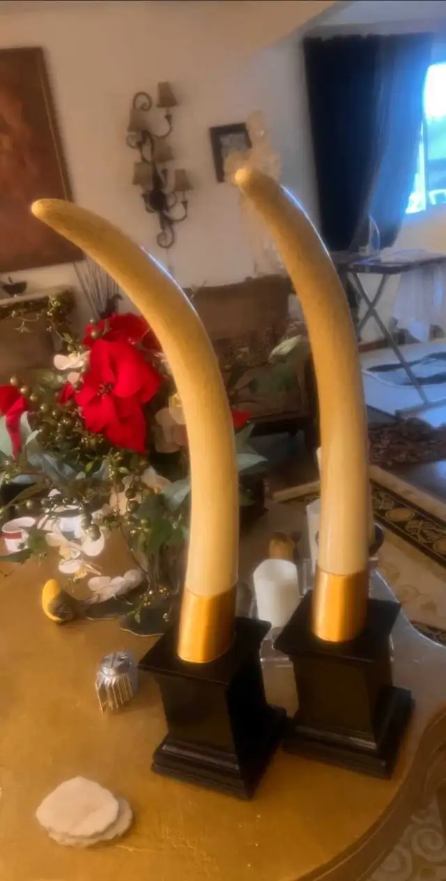 2x Elephant Tusks