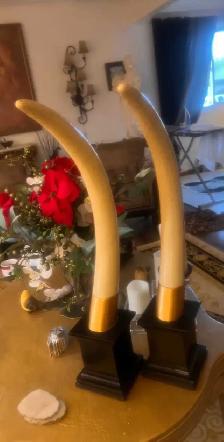 2x Elephant Tusks