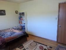 Large Furnished Master Bedroom  – Walk to University – - Photo 7