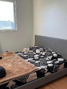 Room for rent - Photo 3