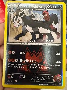 Team Magma’s Mightyena Pokemon Card