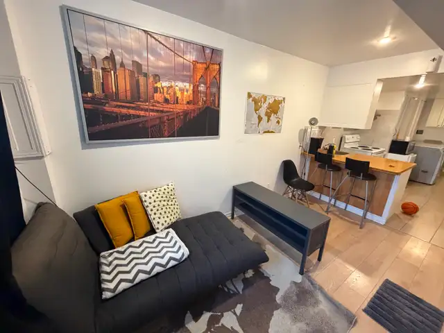 31/2 près du Métro Assomption Montréal, sous-sol