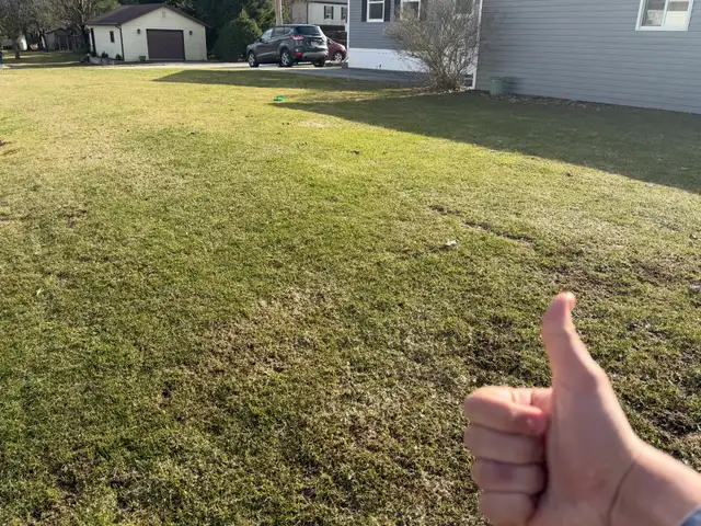 Lawn Care Services - Photo 3