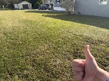 Lawn Care Services - Photo 3