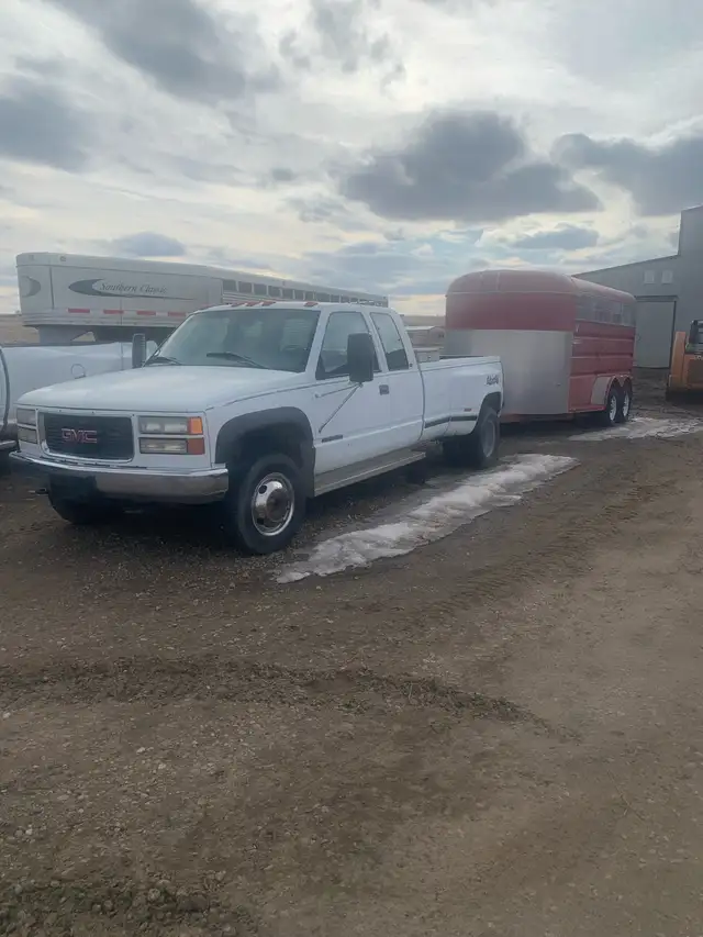 Truck and horse trailer combo
