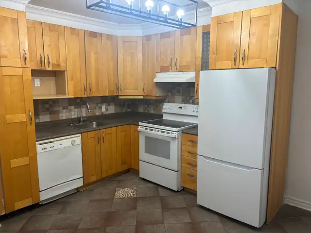 Grand 3 1/2 à Homa avec electros et internet haute vitesse au 3e